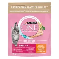 Purina ONE Junior для котят с курицей и цельными злаками, 450 г