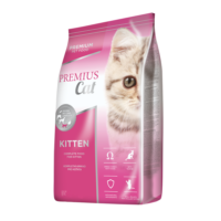 Premius Kitten