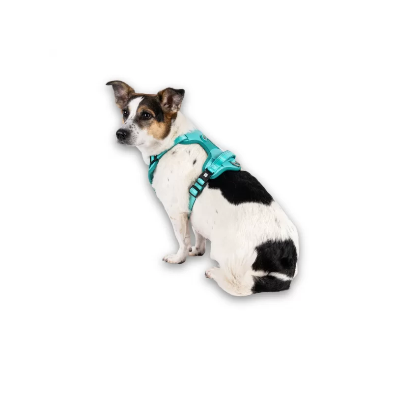 Max & Molly Шлейка Sport Matrix 2.0 Turquoise