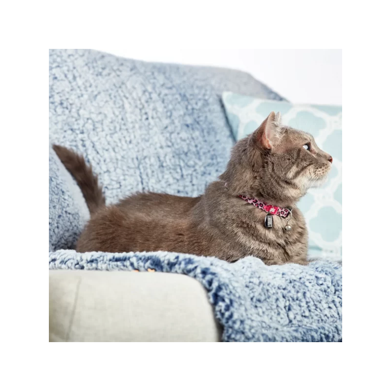 Max & Molly Ошейник Smart ID Leopard