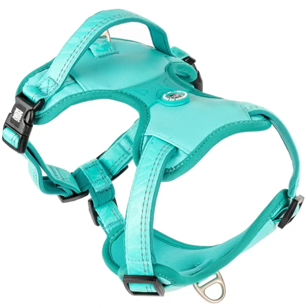 Max & Molly Ham Sport Matrix 2.0 Turquoise