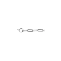Record Ошейник-цепь хромированный Long Choke Chain