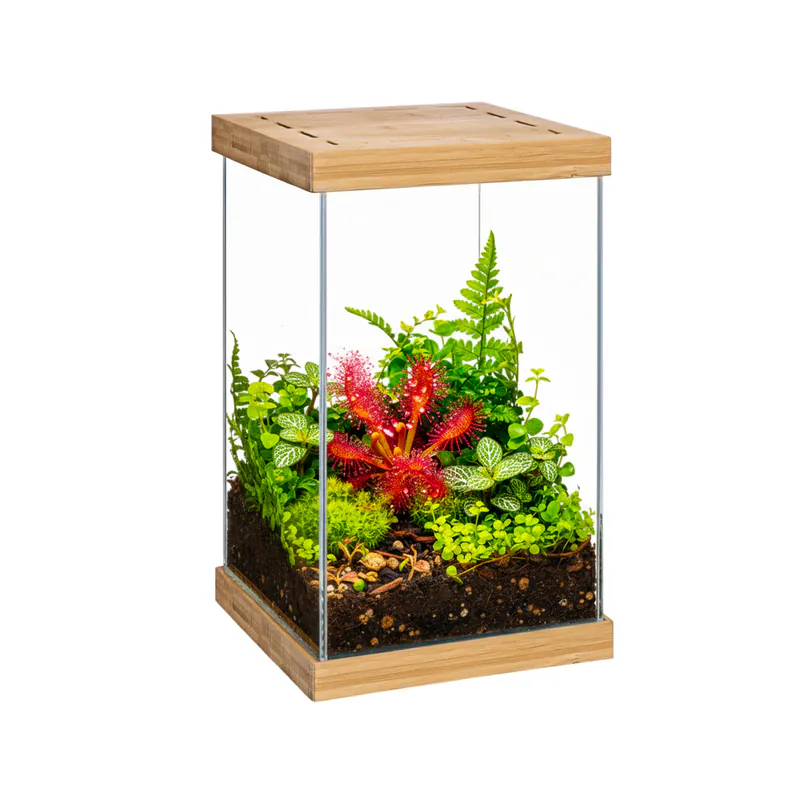 Aquael Selva Mini, террариум с WRGB LED-подсветкой, 20×20×30 см