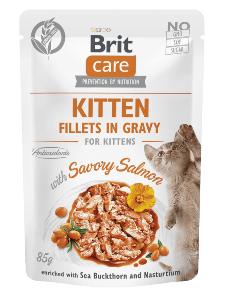 Brit Care Cat Kitten Fillets in Gravy Salmon