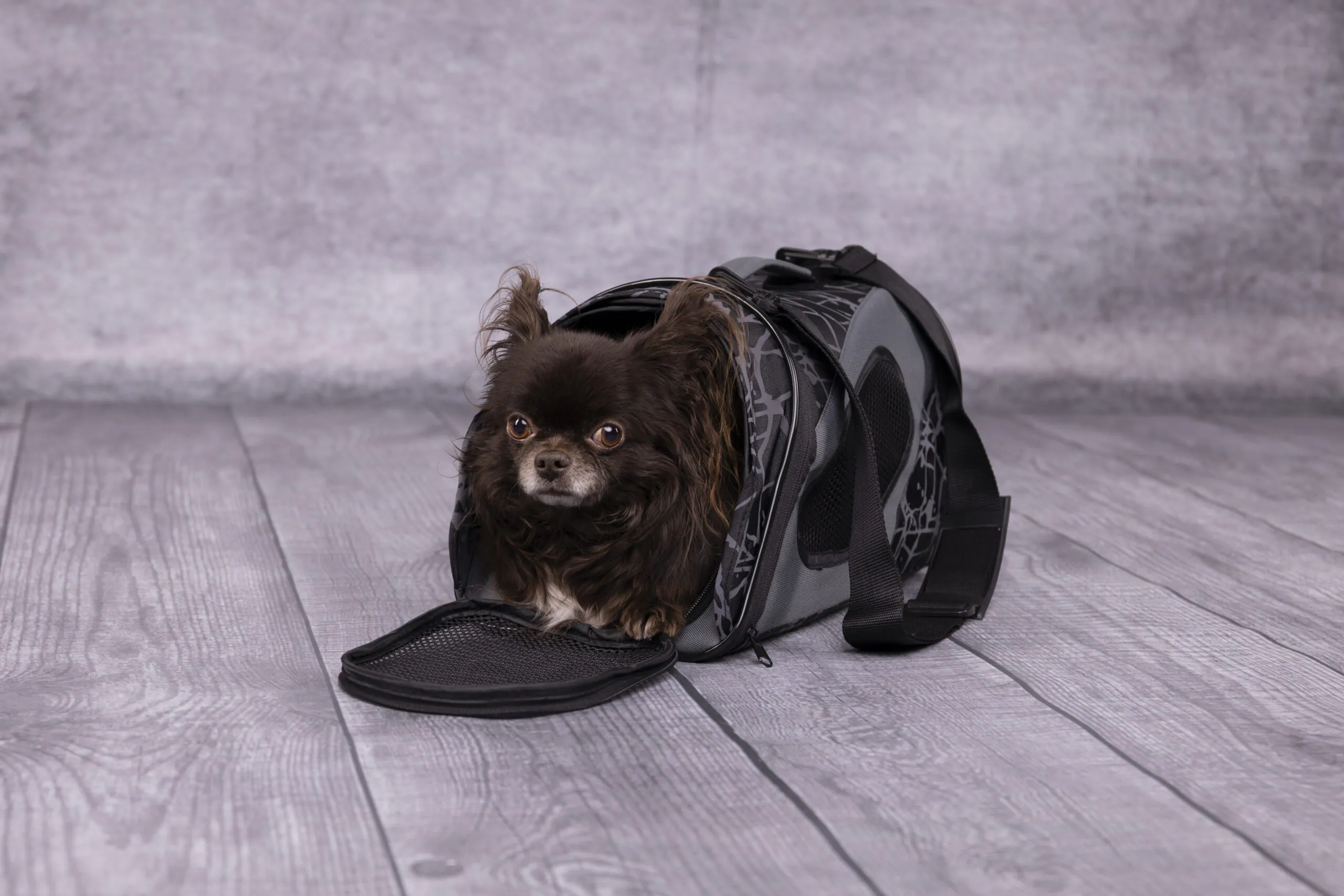 Flamingo Pet Carrier