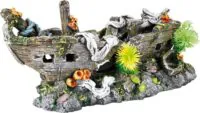 Flamingo Shipwreck Plants