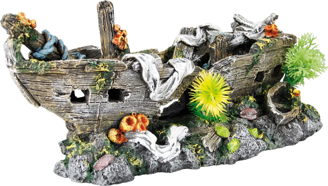 Flamingo Shipwreck Plants