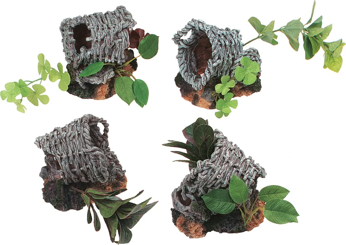 Flamingo Basket Plants