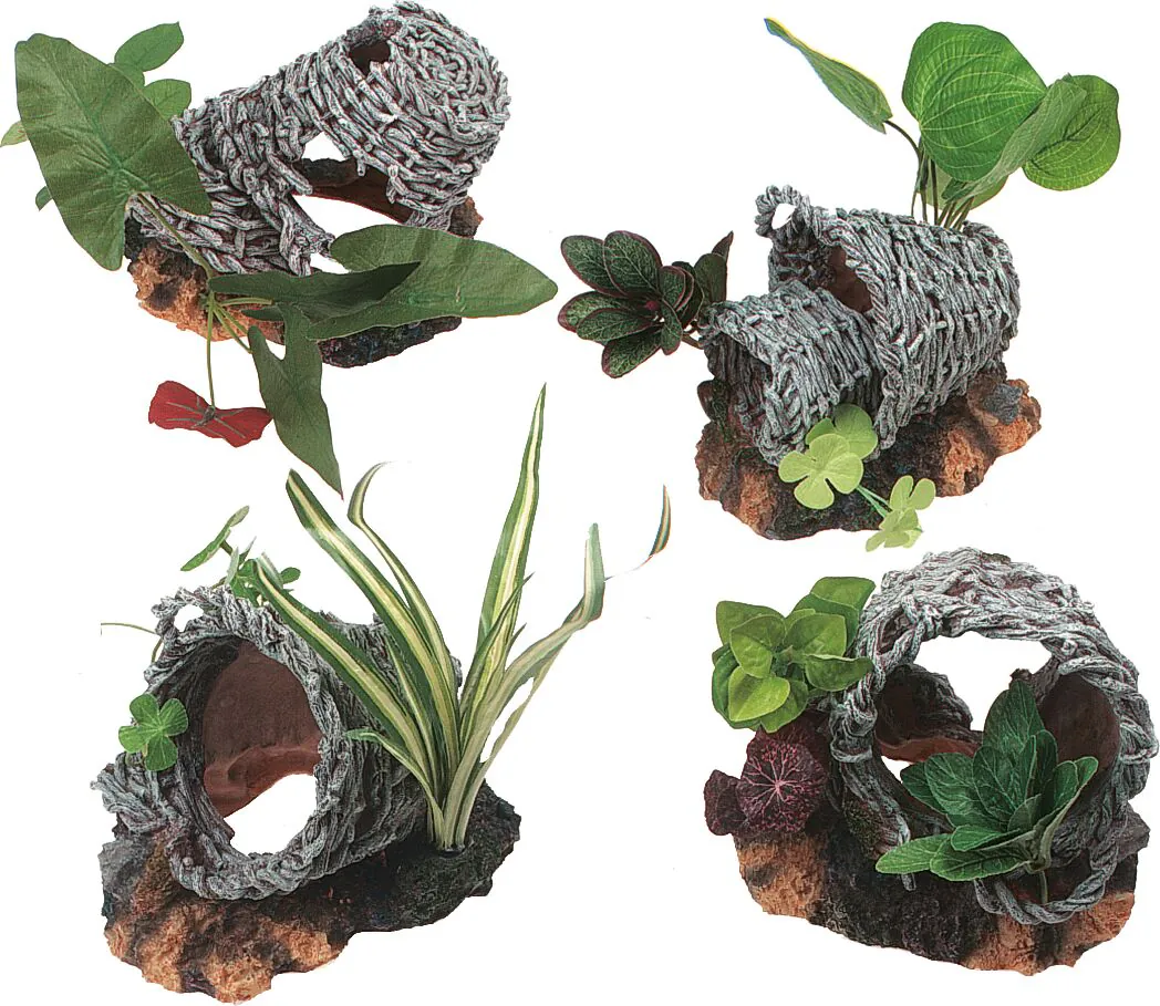 Flamingo Basket Plants