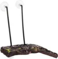 Flamingo Zoo Med Floating Mini Dock