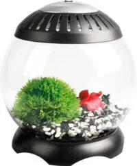 Flamingo Nano Aquarium Sphere