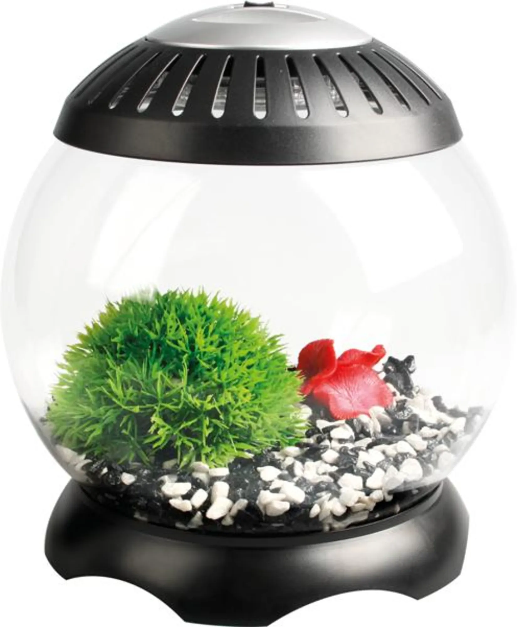 Flamingo Nano Aquarium Sphere