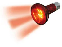 Flamingo Infrared Spot Beam