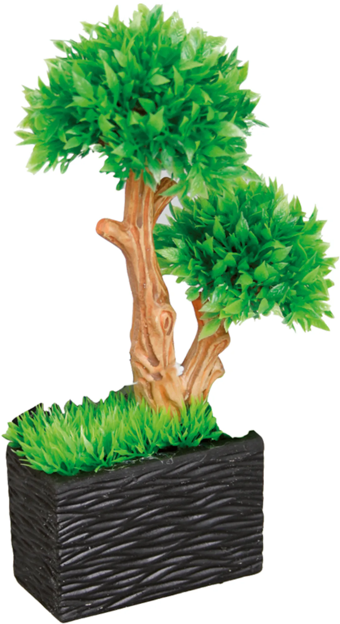 Flamingo Bonzai