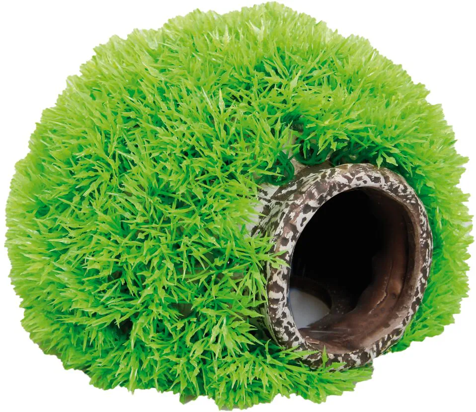 Flamingo Mossball Cave