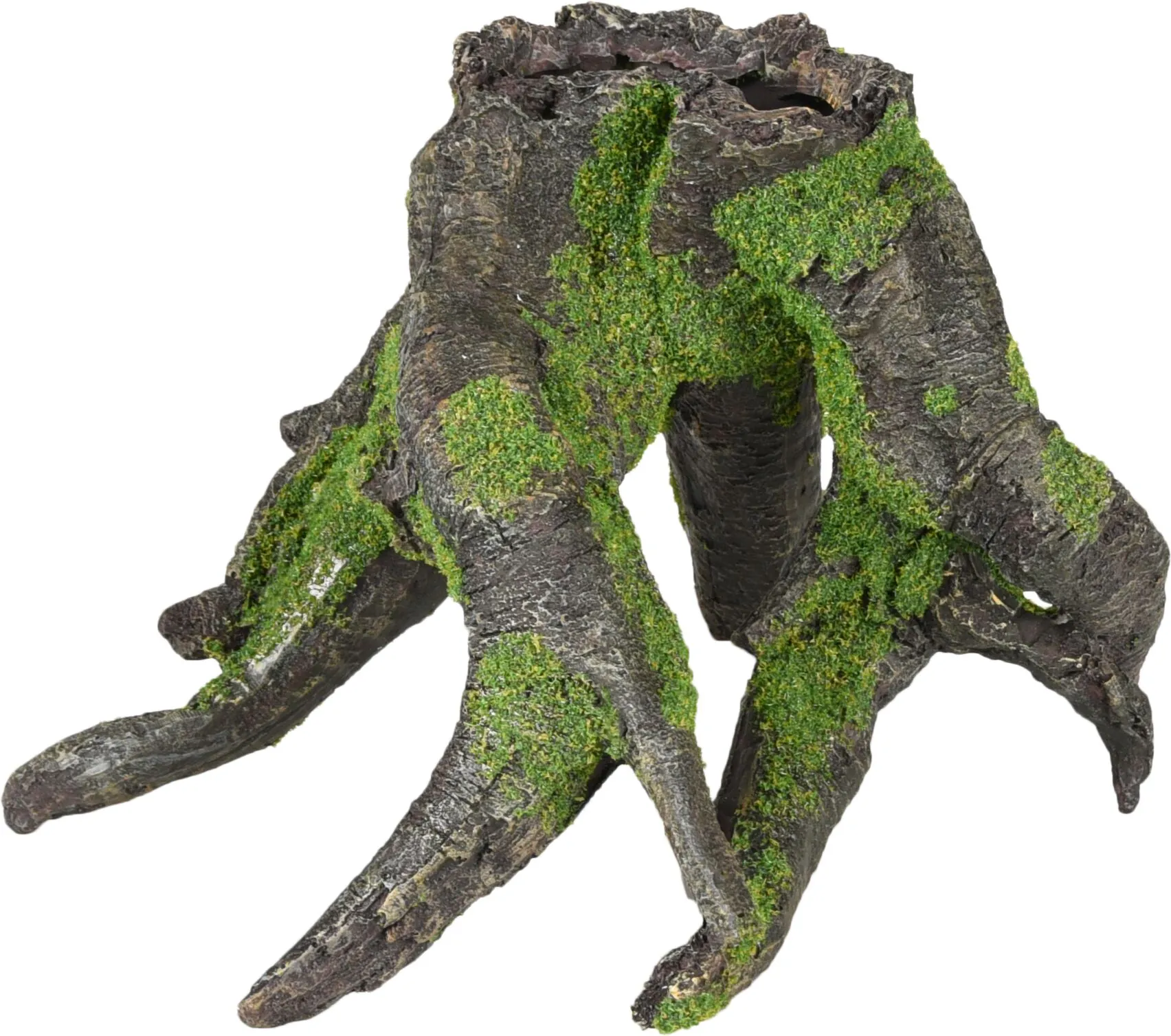 Flamingo Moza Tree Root