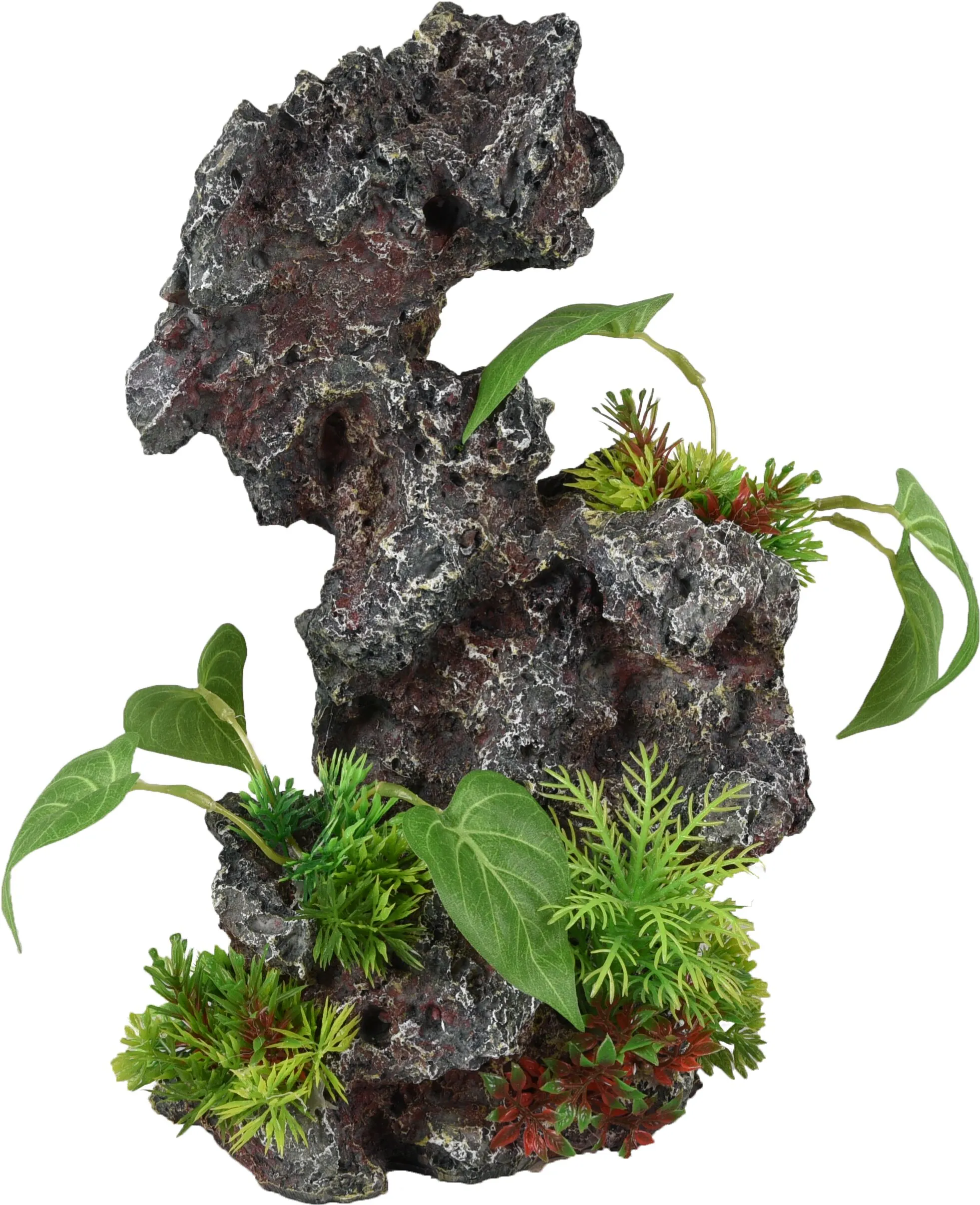 Flamingo Petra Rock Plant