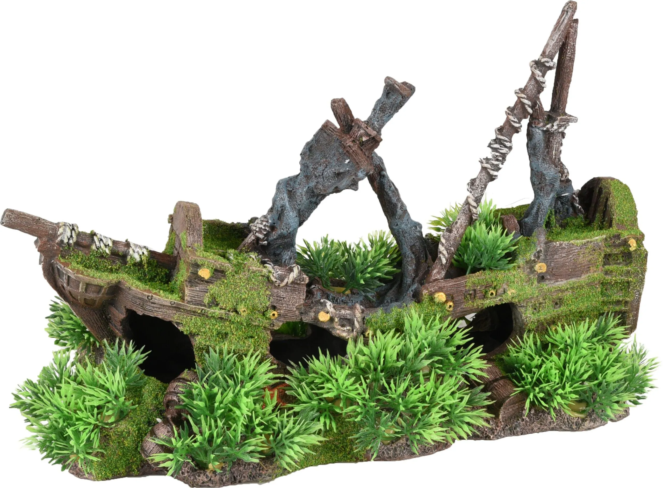 Flamingo Moza Shipwreck