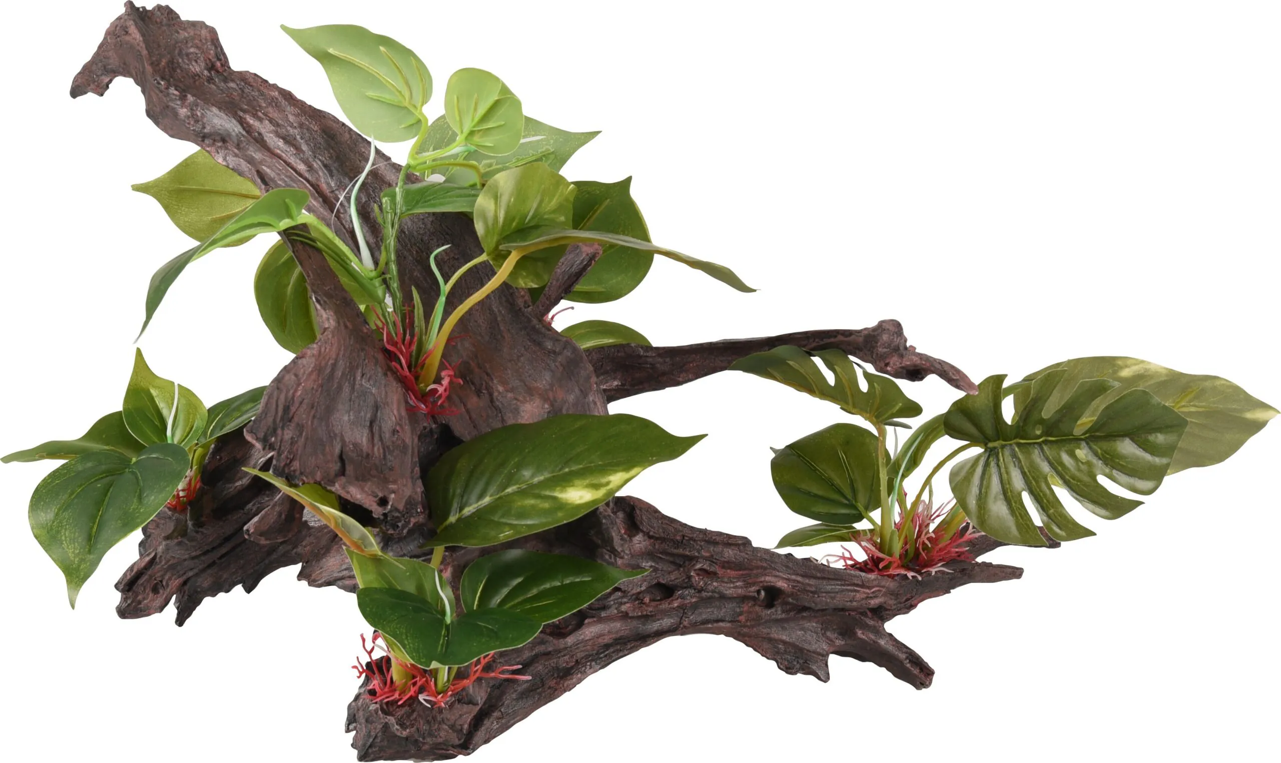 Flamingo Tropica Branch Plant