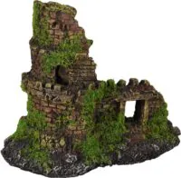 Flamingo Moza Ruin