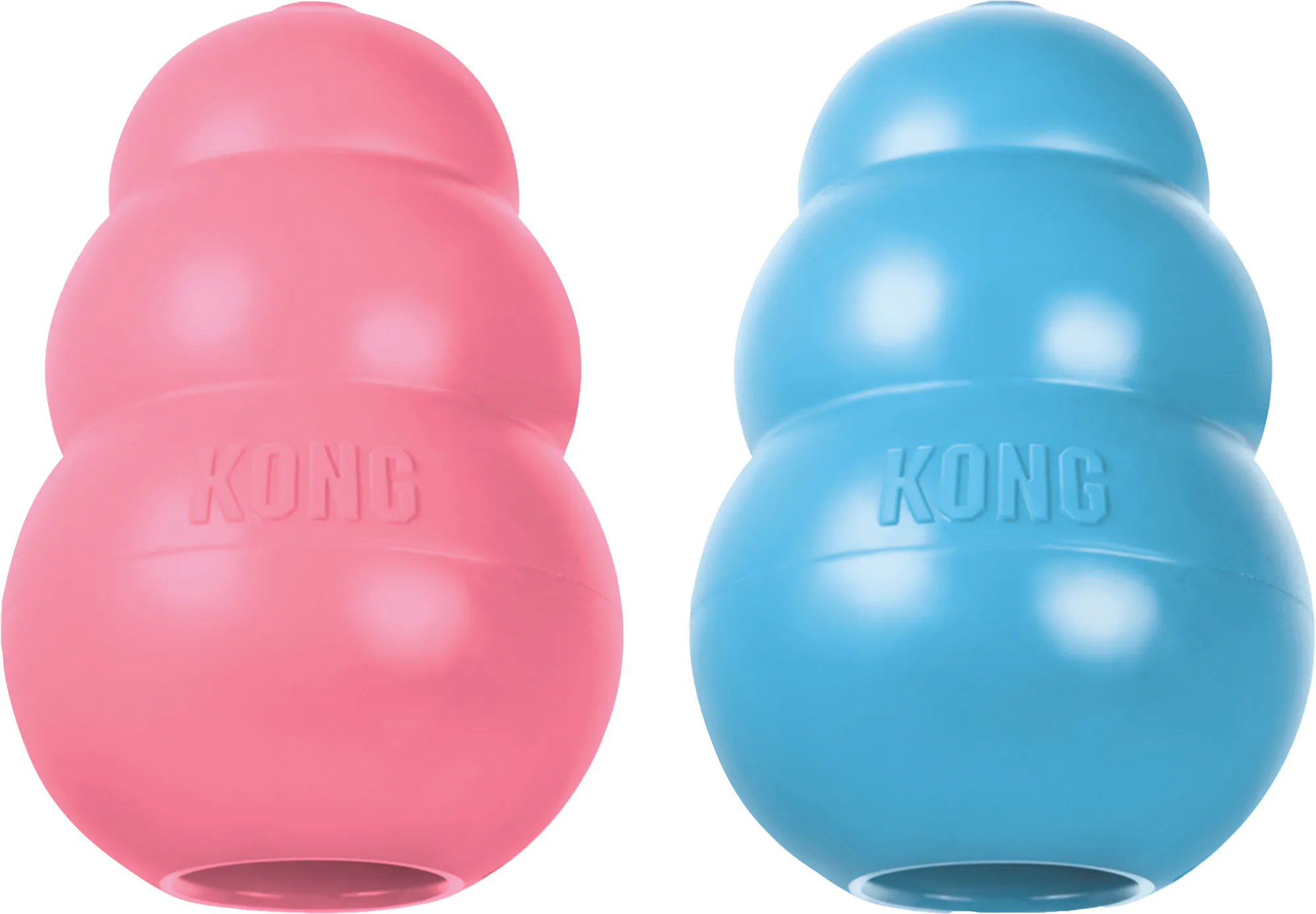 KONG Puppy