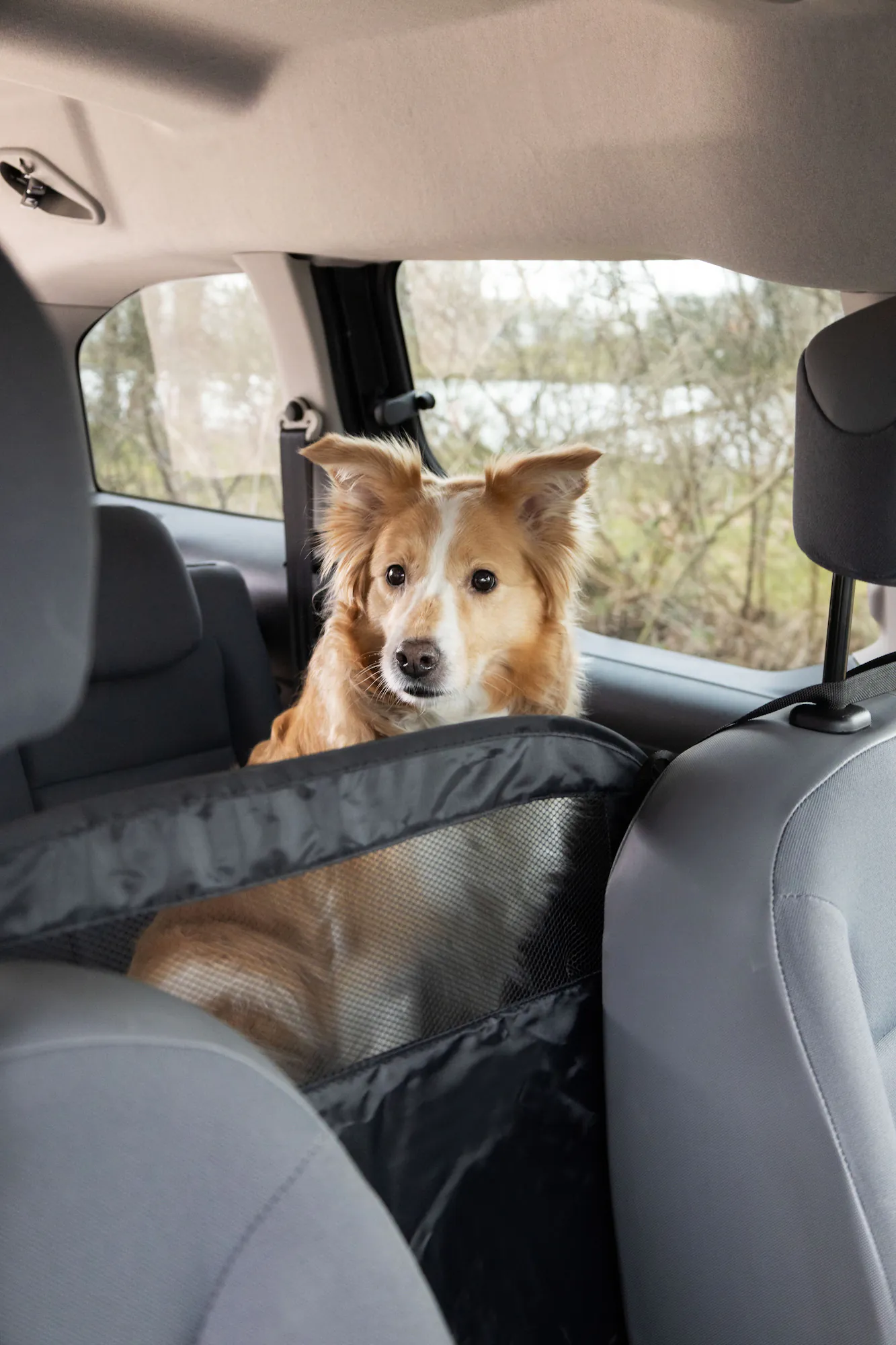 Flamingo Car Pet Barrier