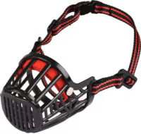 Flamingo Muzzle Silas