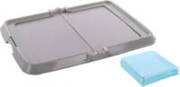 Flamingo Fifi Pads
