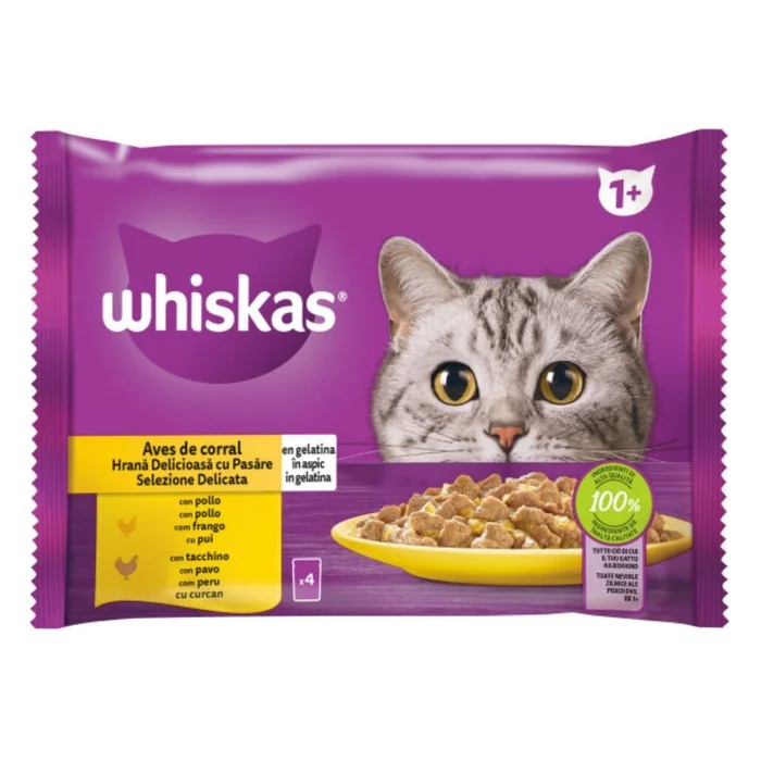 Whiskas Pui Aspic, мультипак 4×85 г, 340 г, для взрослых кошек