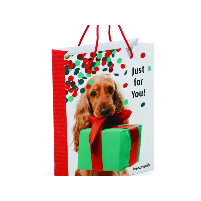 Beeztees Пакет подарочный Just For You