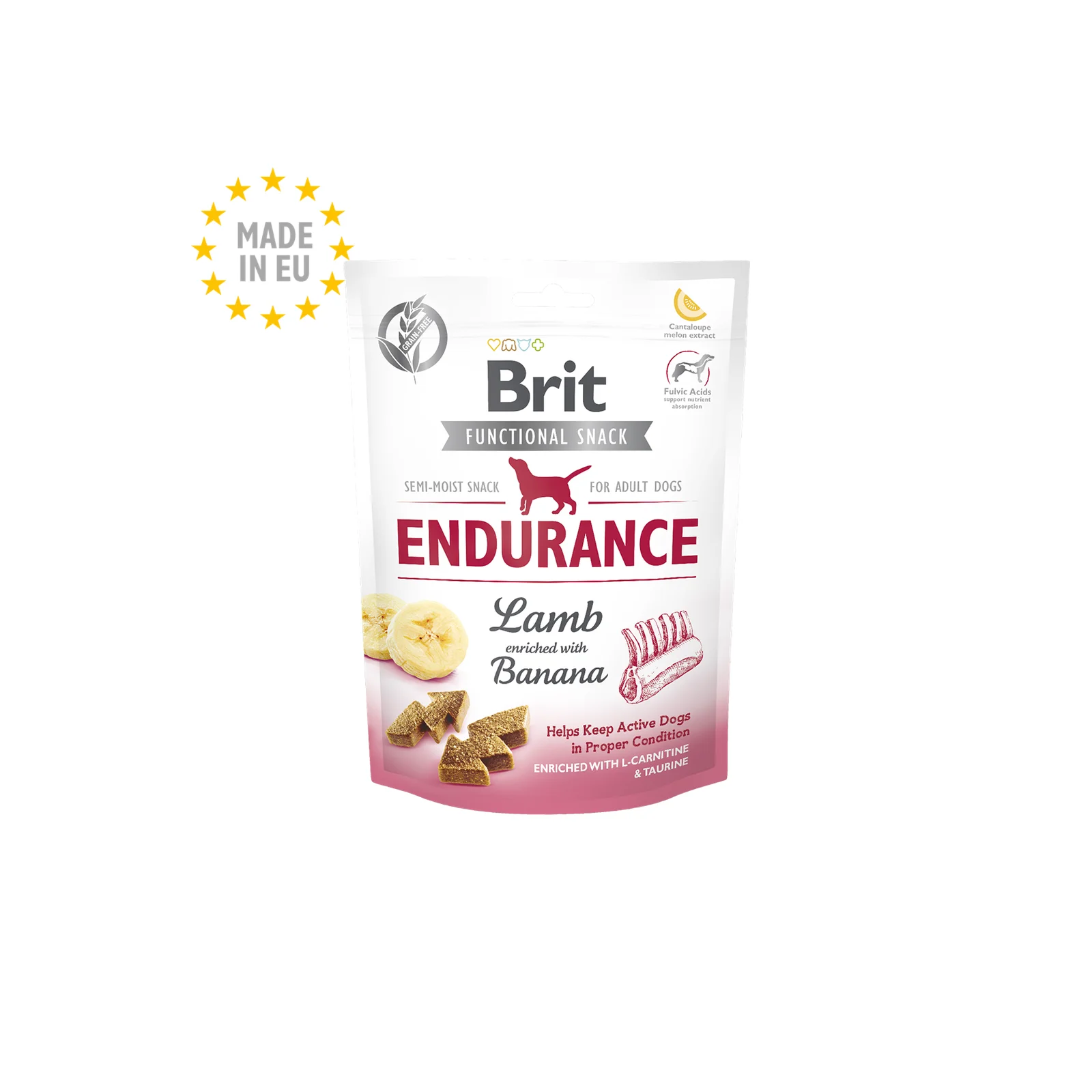 Brit Care Dog Endurance Lamb