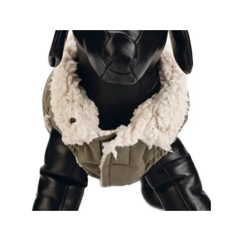 Beeztees Пальто Philos, зелёное