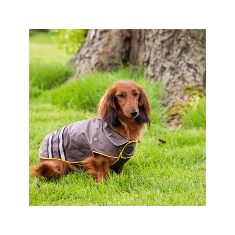 Beeztees Пальто Seja