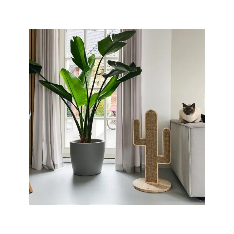 Beeztees Когтеточка Cactus Oze