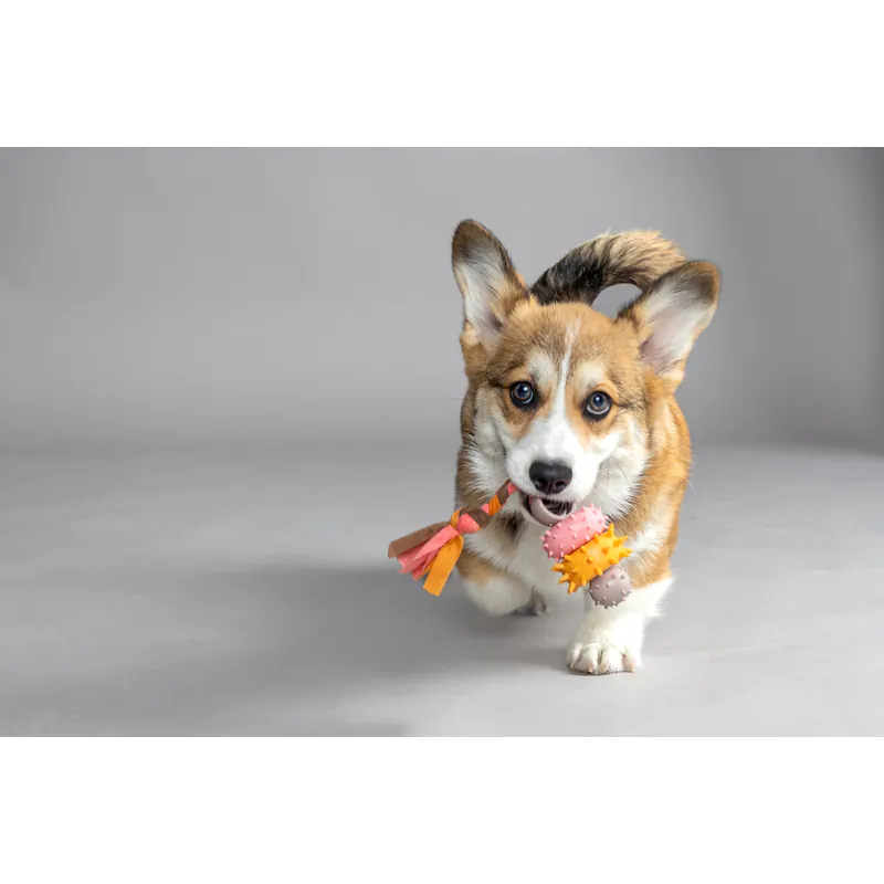 Flamingo Puppy Bunty Rings, игрушка-прорезыватель для щенков