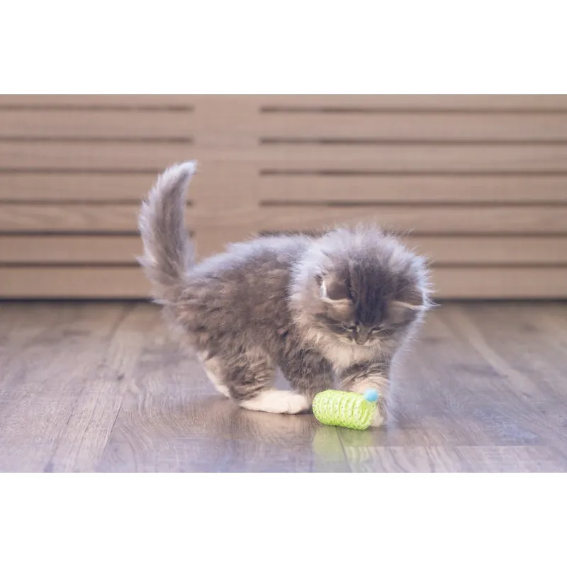 Beeztees Zing, пружинки для котят с помпонами, 2 шт.