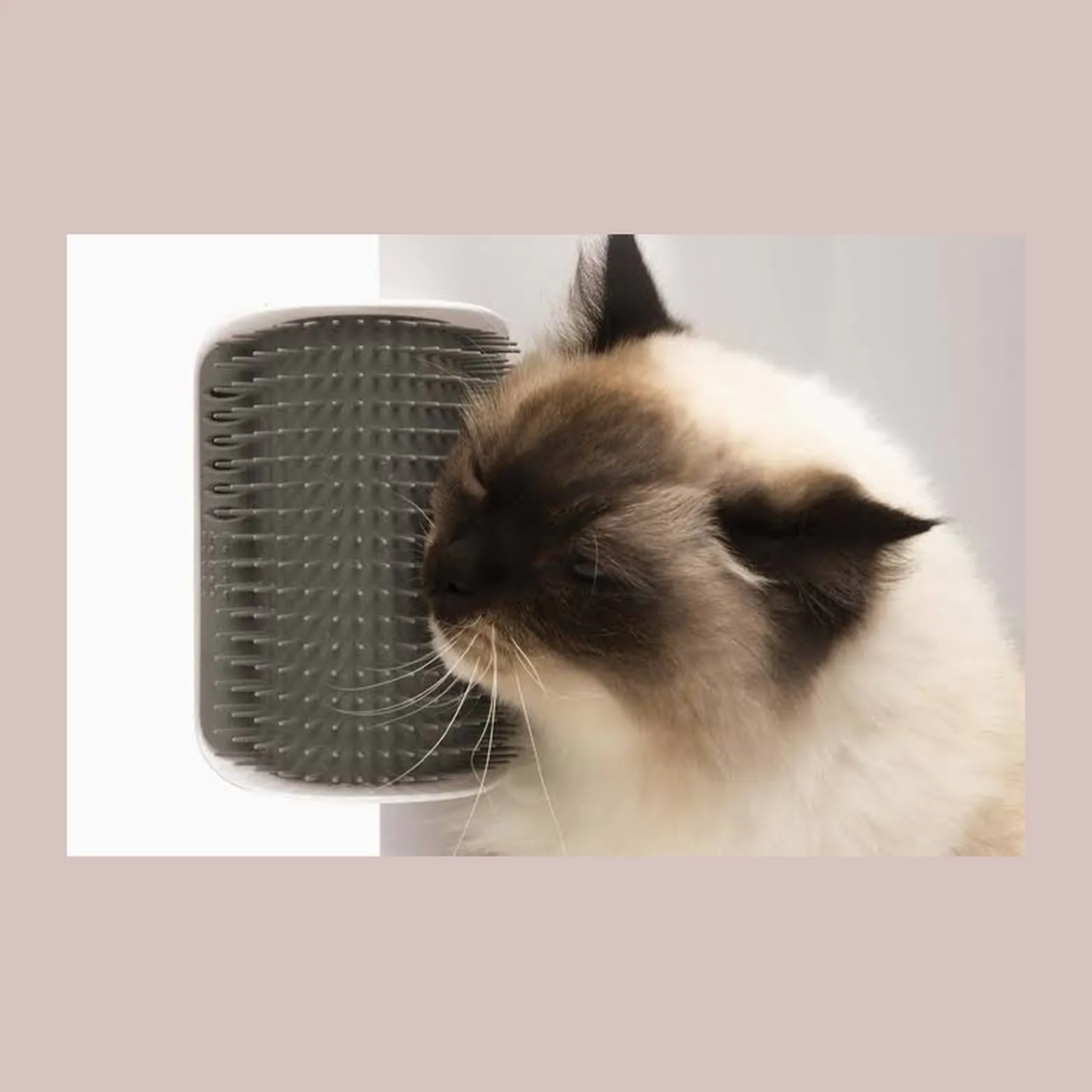 Catit Self Groomer, настенная щётка-чесалка для кошек с отсеком для мяты