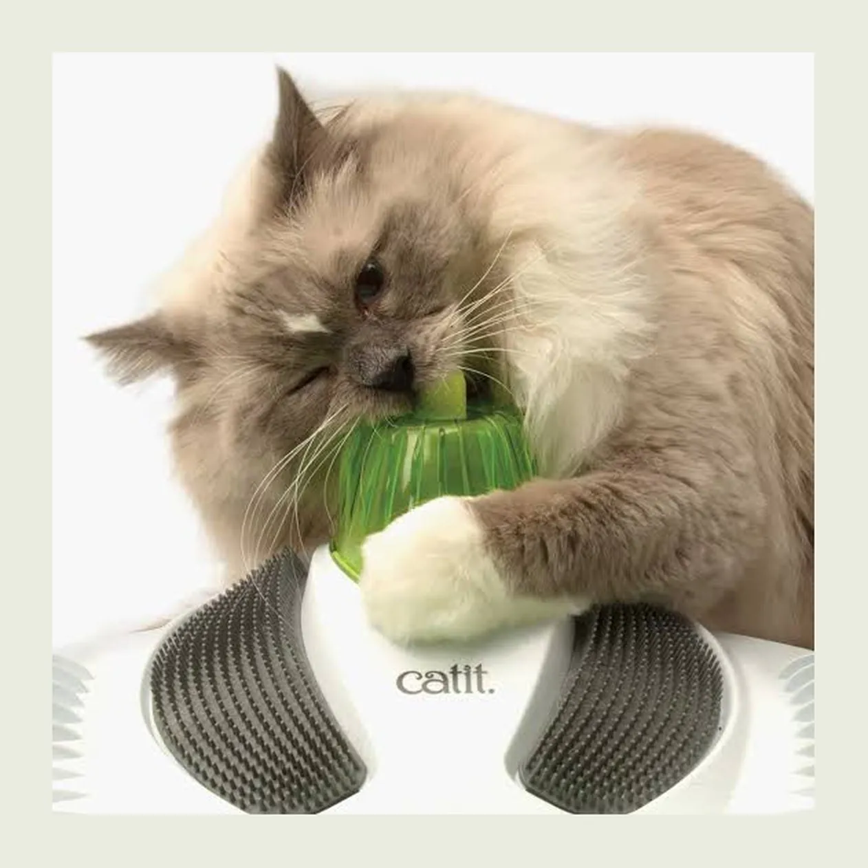 Catit Senses Wellness Center, массажный центр для кошек с щётками и мятой