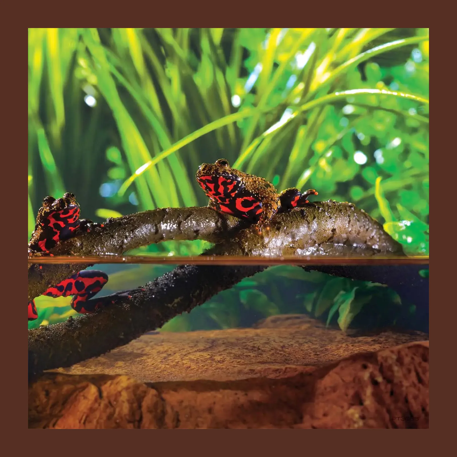 Exo Terra Jungle Vine Small, liană flexibilă pentru terariu, 182 cm