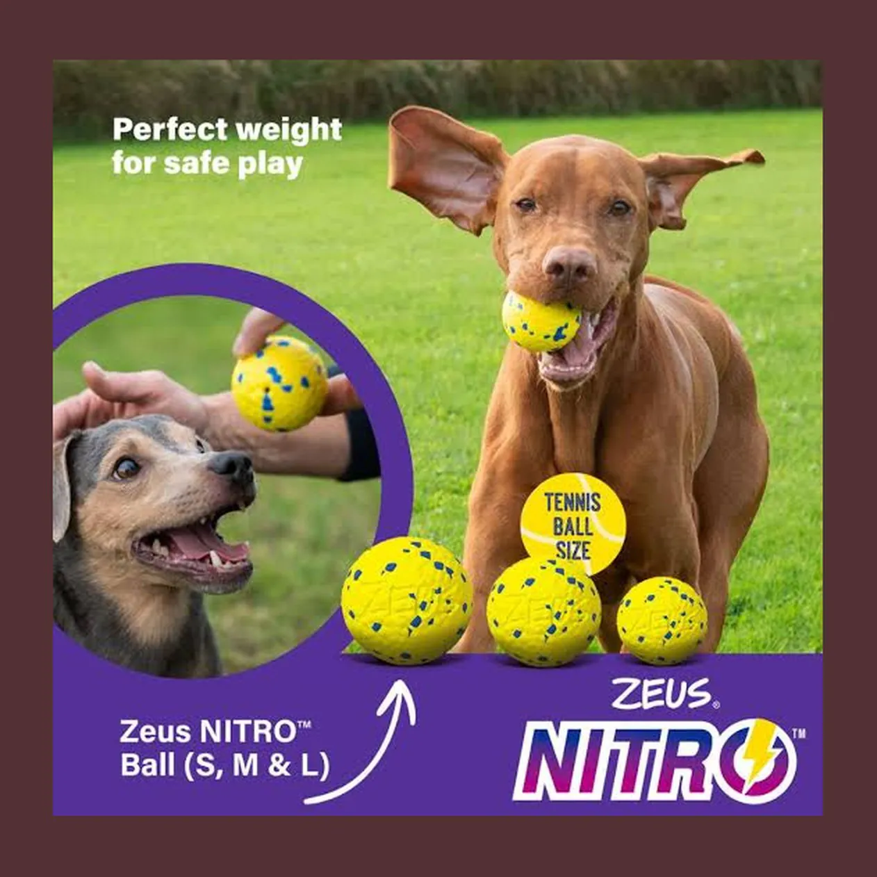 Zeus Nitro Weighted Ball, minge rezistentă pentru câini, delicată cu dinții, M