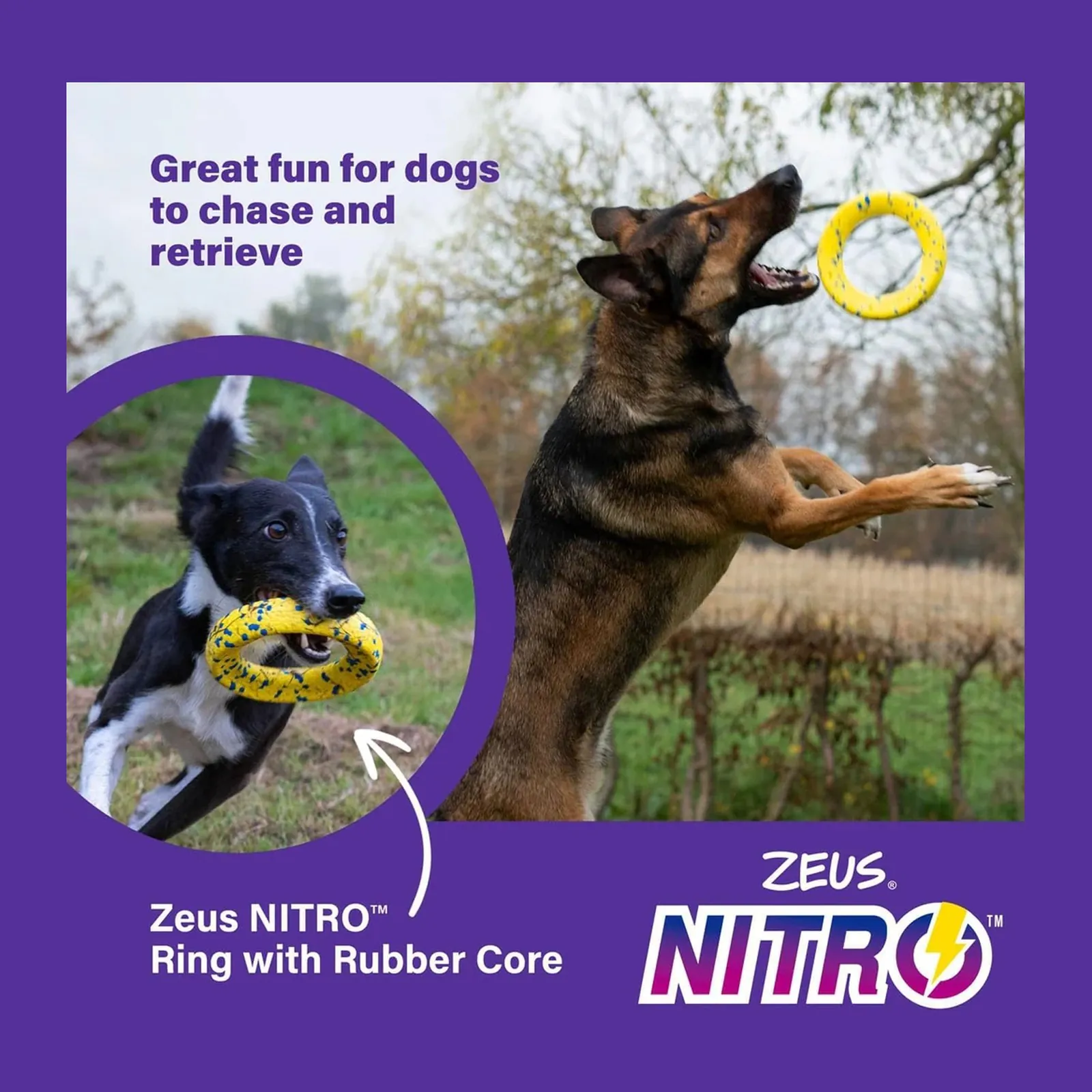 Zeus Nitro Ring, inel de joacă pentru câini cu miez din cauciuc, 16 cm