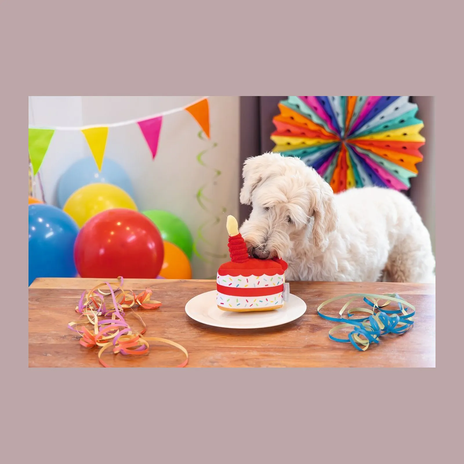 Beeztees Party Taart, jucărie de pluș în formă de tort, cu squeaker, pentru câini