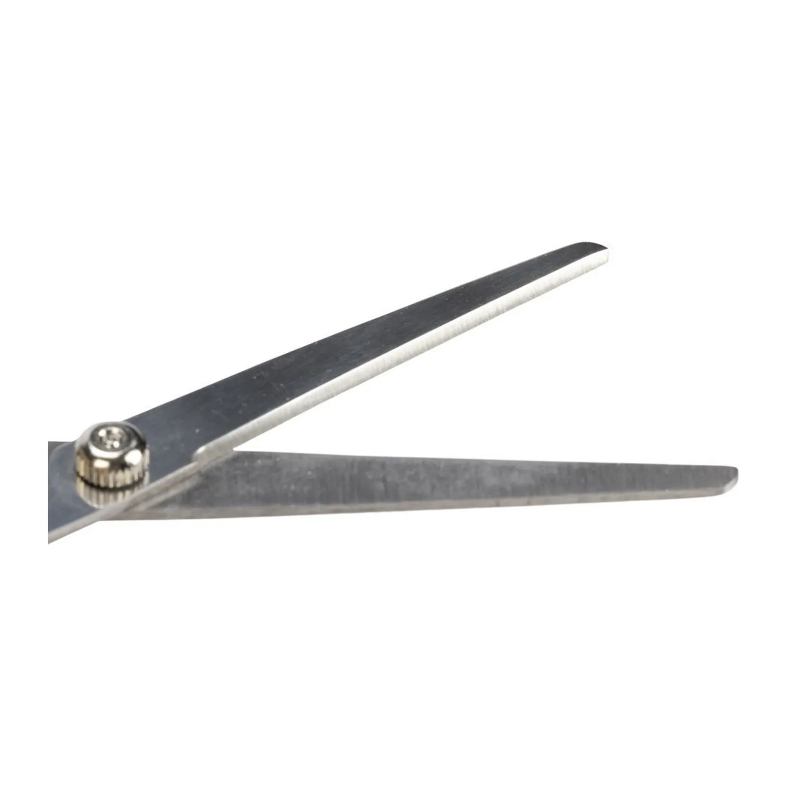 Beeztees Trimschaar, foarfecă pentru tunsul câinilor, 17 cm