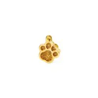 Медальон Paw Glitter Gold