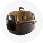 Transportoare