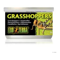 Exo Terra Grasshoppers, lăcuste conservate pentru reptile, 34 g