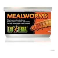 Exo Terra Mealworms, viermi de făină conservați pentru reptile, 34 g