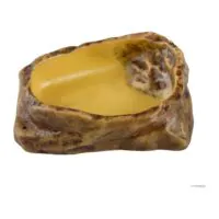 Exo Terra Water Dish Medium, adăpătoare pentru reptile și amfibieni, 10×13×3,3 cm