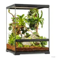 Exo Terra Pro Terrarium Small Tall, terariu din sticlă, 45×45×60 cm