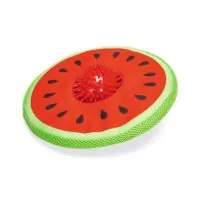 Beeztees Игрушка для собак Melon Spike